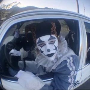 Meet your Posher, Leo